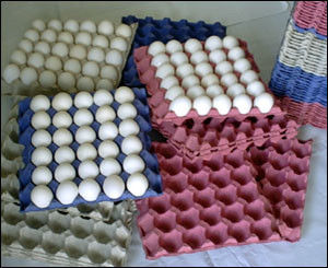 熱い!機械を作る卵の包む機械ずき紙の卵の皿機械ライン電池/フルーツの皿