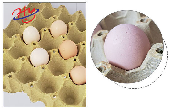 機械153KWを作る生物分解性型のペーパー卵の皿